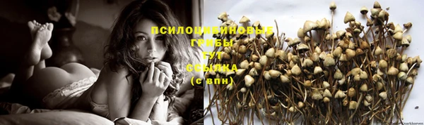 тгк Гусев