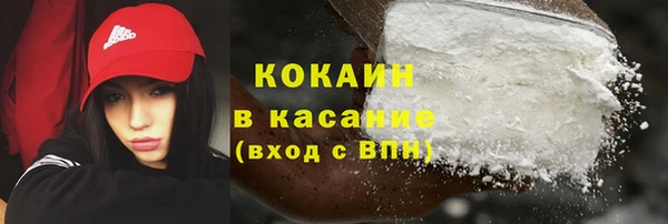 хмурый Гусь-Хрустальный