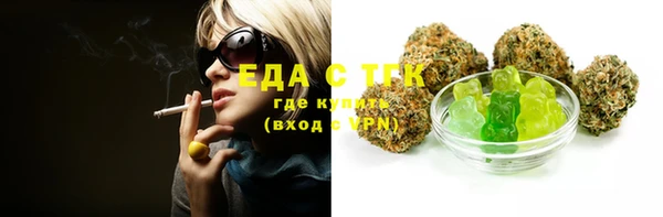 тгк Гусев
