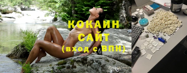 тгк Гусев