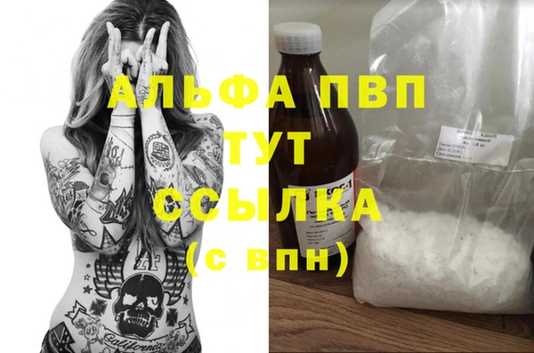 трава Гусиноозёрск
