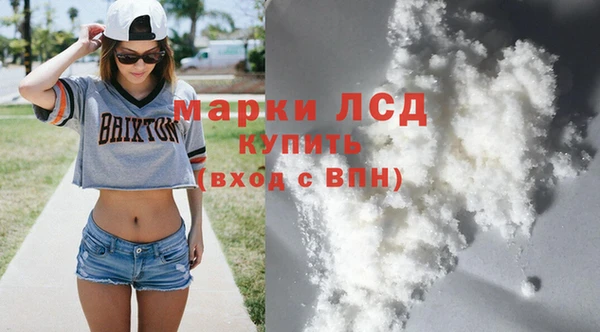 хмурый Гусь-Хрустальный