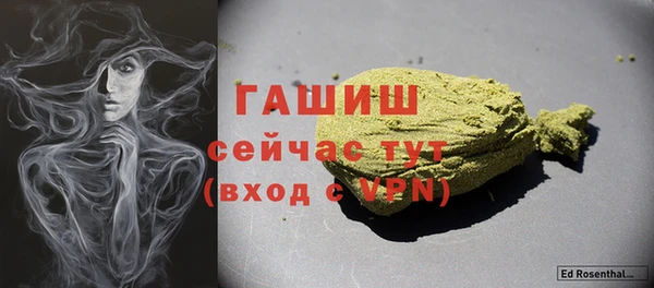 тгк Гусев